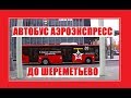 Автобус Аэроэкспресс до Шереметьево