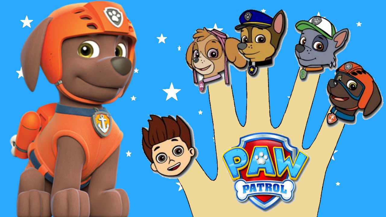 Paw Patrol Finger Family Song Nursery Rhymes Lyrics Paw Patrol Finger Family Song Nursery Rhymes Lyrics