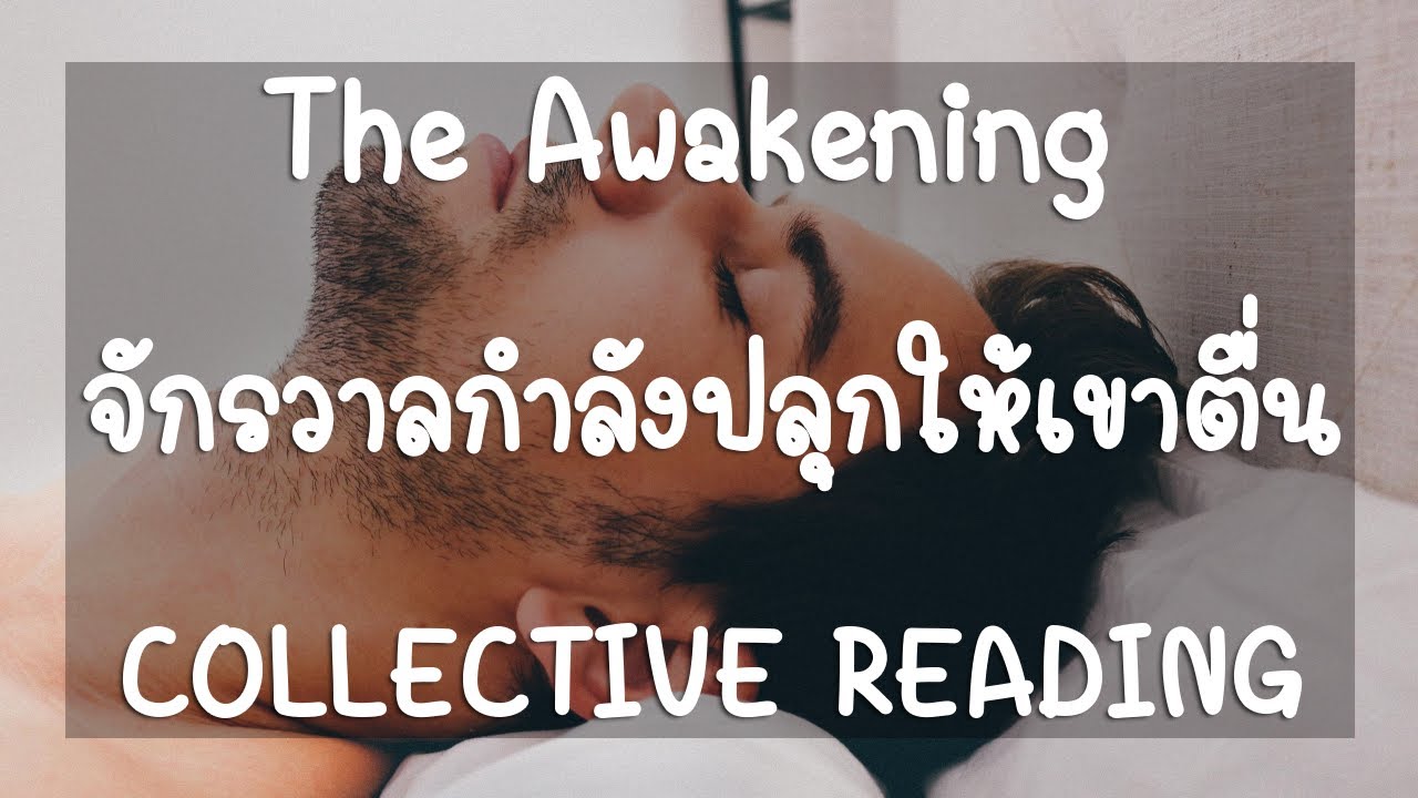 Collective ❤️ Twinflame & Soulmate ❤️จักรวาลกำลังปลุกเขาให้ตื่น The Awakening (Timeless) NO.8