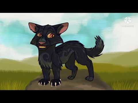 never trust anybody warrior cats meme[Crowfeather and Breezepelt]