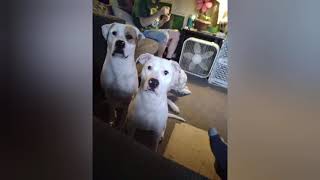 Gemma Girl From Baby To Big Baby