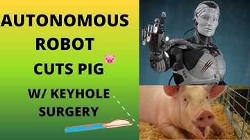 Robot Performed Keyhole Surgery on Pig| STAR Robot
