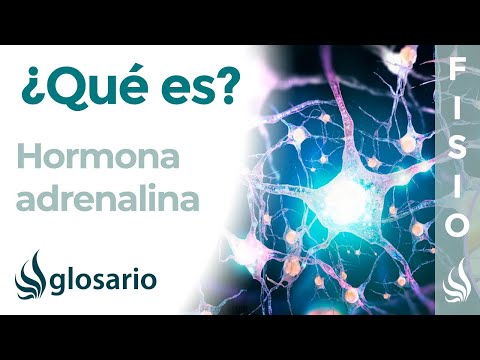 Video: ¿La adrenalina adormece el dolor?