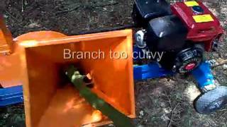 Chipper-2011-07-17.mp4