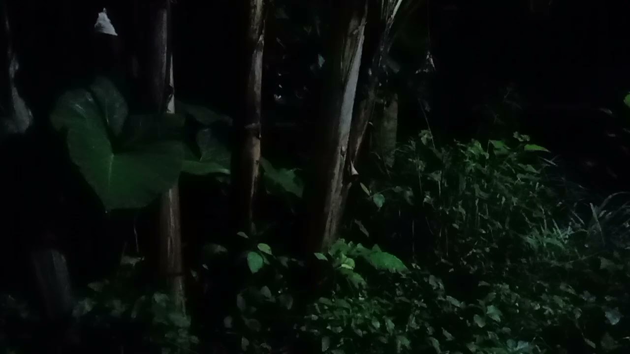 Fâtiha Suresi – Güzel Tilavet