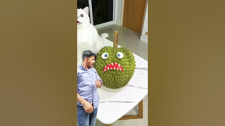 The evil durian was chasing me😵‍💫 #cat #cats #viral #shorts place subscribe my channel 💖