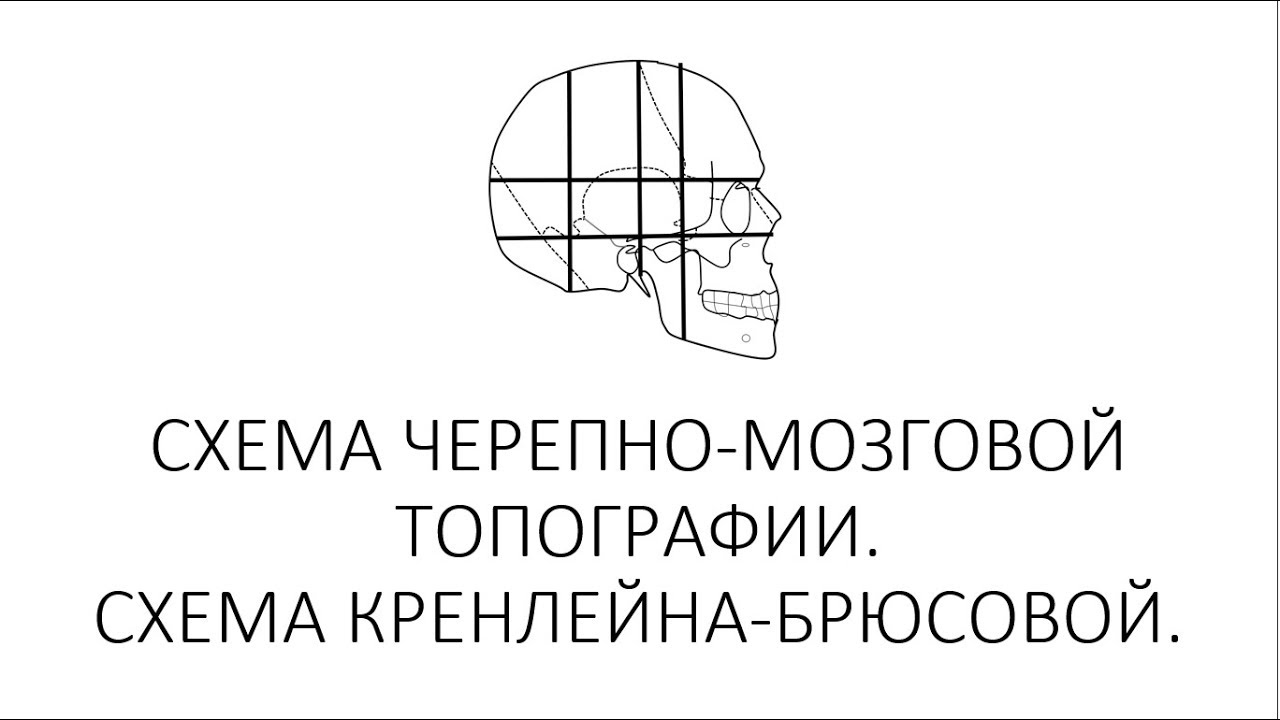 Схема черепно мозговой топографии кренлейна брюсовой. Черепно мозговая топография кренлейна Брюсовой. Схема кренлейна-Брюсовой. Схема черепно мозговой топографии по кренлейну Брюсовой.