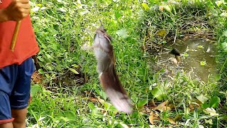 Amazing Hook Fishing Trap | Hook Fishing By Village Pond | Small Boy Hook Fish Trap