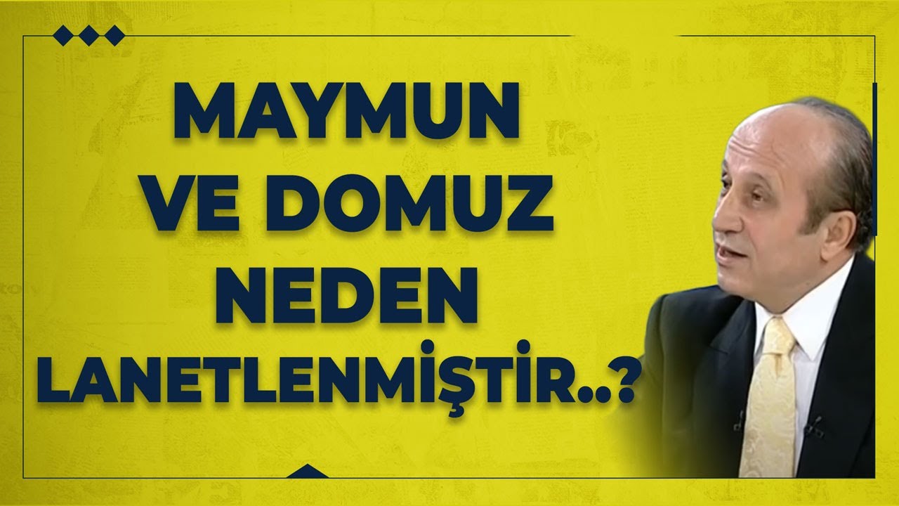 Maymun Ve Domuz Neden Lanetlenmiştir..?