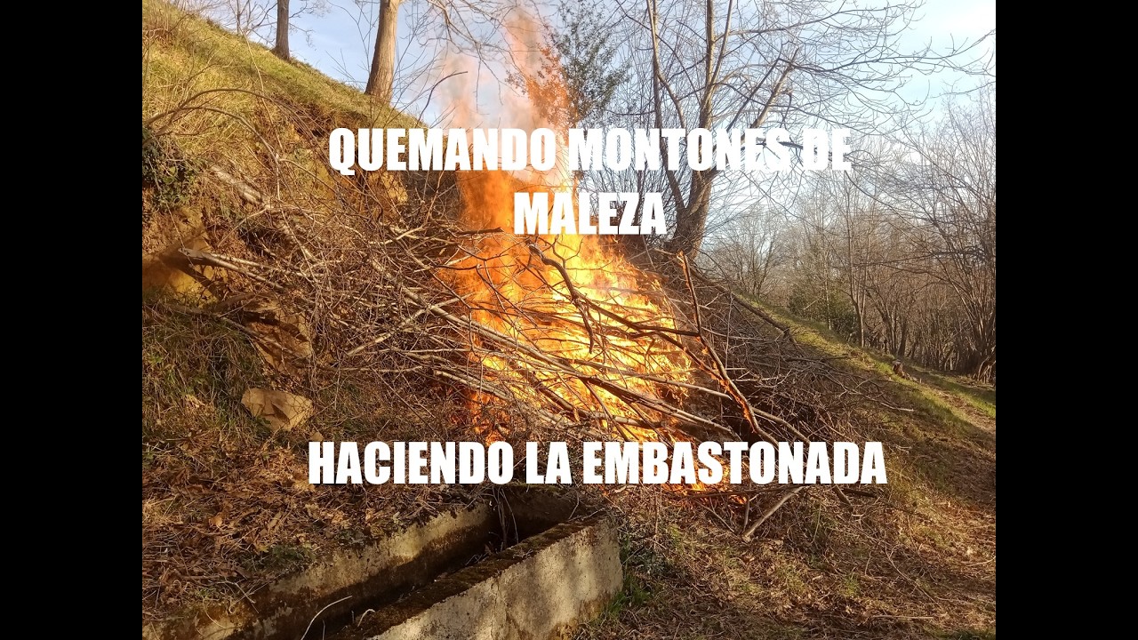 QUEMANDO MONTONES Y HACIENDO EMBASTONADA