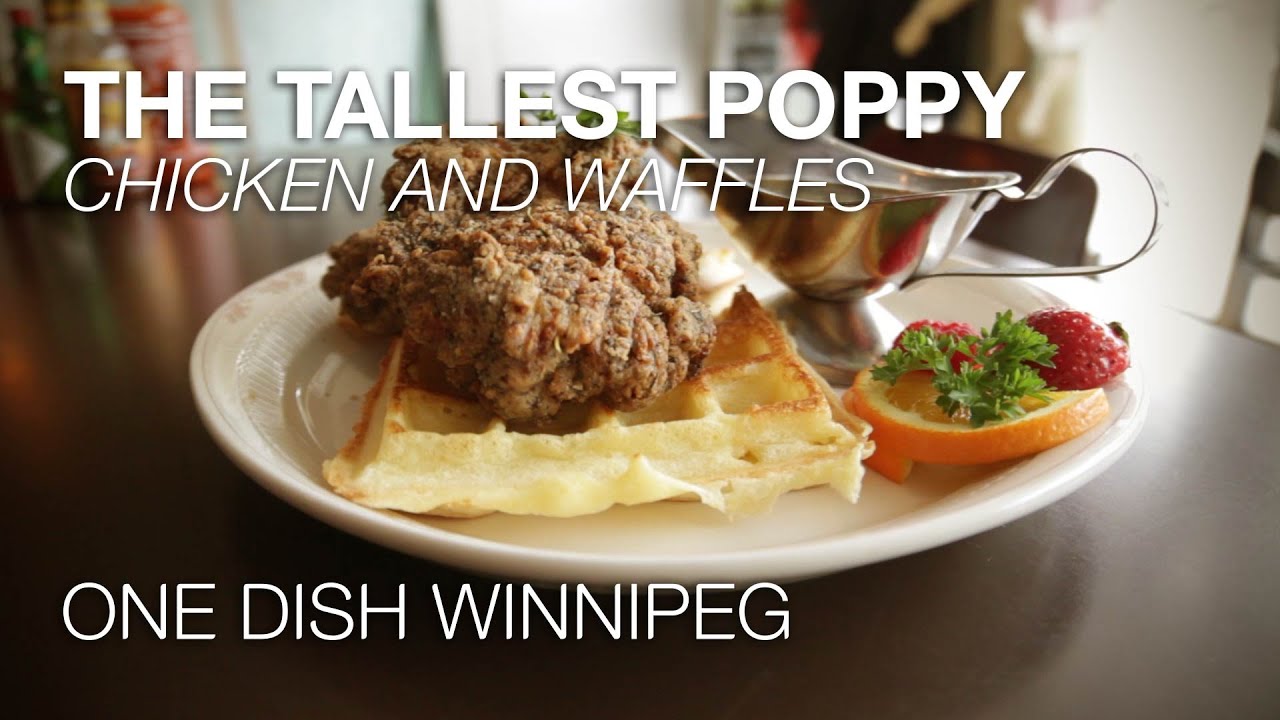 One Dish Winnipeg The Tallest Poppy YouTube