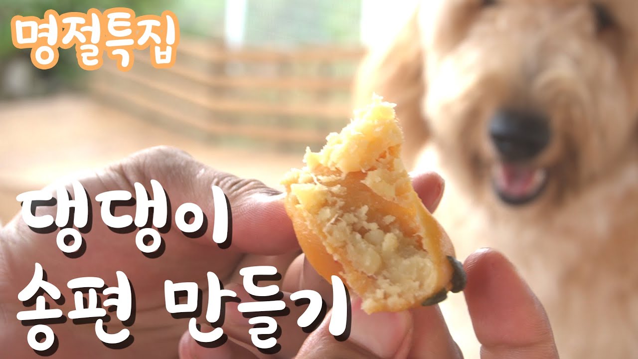 [추석특집] 강아지 수제간식 '강아지 송편' 만들기!
