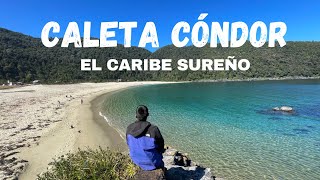 CALETA CÓNDOR ES INCREÍBLE!  Guia completa ► Sur de CHILE