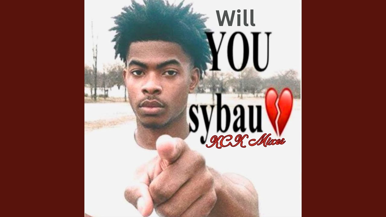 Will You Sybau