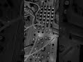 Buchla Tiptop Audio Modular Synth, 245t #minimaltechno #modularsynth #westcoastsynthesis #dawless