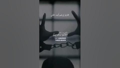 القارئ إبراهيم أحمد لطفي يبدع في تلاوة سورة السجدة✨
