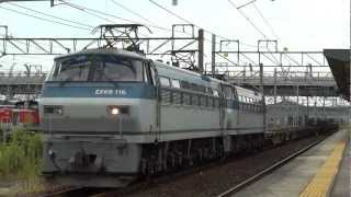 JR貨物 EF66-116 貨物列車 (8865レ EF66-128無動回送,コキ,チキ) 稲沢駅