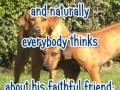 My Dog is the best - Buda and Luckie