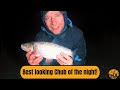 Unforgettable Night Adventures: Chub fishing Under The Moon! How to catch more Chub #chubfishing