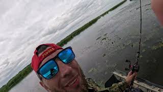 Рыбалка на змееголова 26. 07. 2025г.