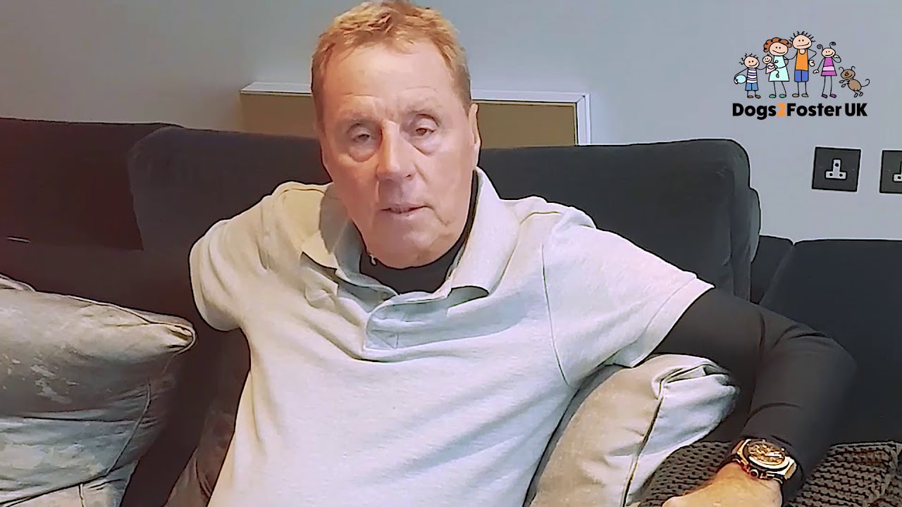 Dogs2Foster FC - managed by Harry Redknapp