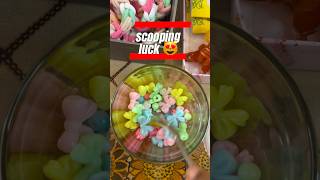 Download Lagu scooping 😻luck nokiyaaloo❤️💯vendavar yes enn comment cheyuka rate ayakam❤️ #unaikannagh #scooping MP3