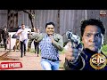 क्यों अभिजीत दया के ऊपर गोली चला कर भाग रहा था ? CID || सी.आई.डी. | New Episode 2025