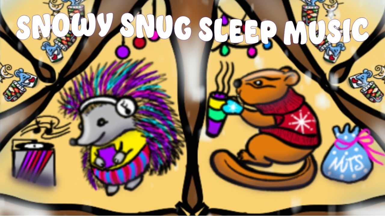 SNOWY SNUG SLEEP MUSIC FOR CHILDREN