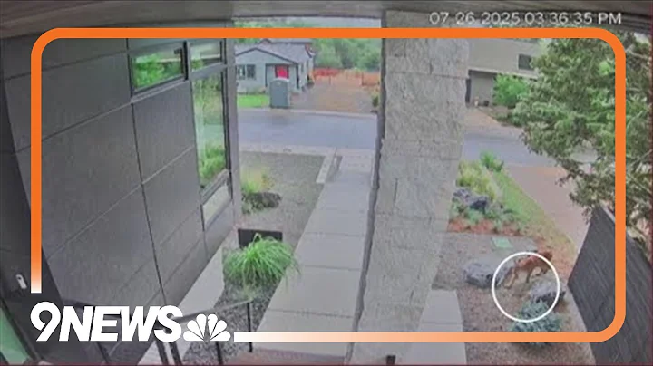 CPW urged pet owners urged to be vigilant following mountain lion attack