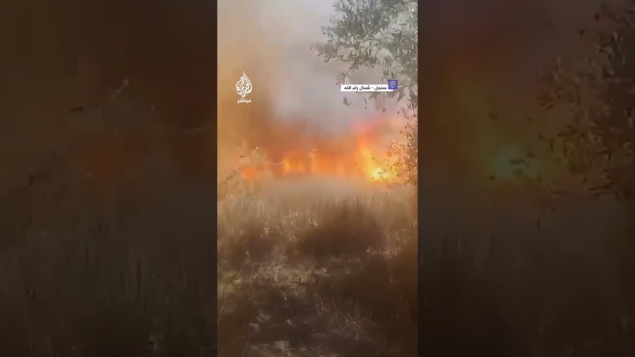 مستوطنون يحرقون أراض زراعية فلسطينية في محيط قرية سنجل شمالي رام الله