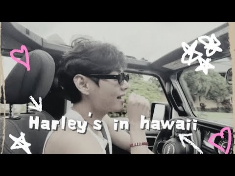 Harley's in hawaii - taehyung fmv