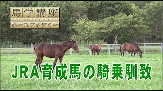 馬学講座ホースアカデミー12　３．JRA育成馬の騎乗馴致