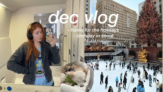 usa vlog 📹 christmas in nyc, my birthday, snow days in my apartment, life in seoul, korea