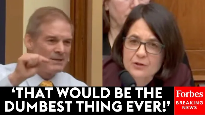 Jim Jordan Reacts To Balint Saying US 'Needs To Be More Like Europe' On Antitrust—Then She Responds