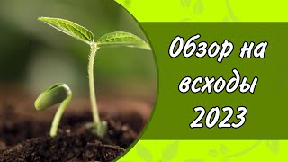 ОБЗОР НА ВСХОДЫ 2023