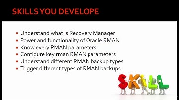 Oracle RMAN - Configure advanced RMAN backups and scripts : What is RMAN?