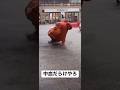 【世の中の理不尽】負のループが続く絶望的瞬間