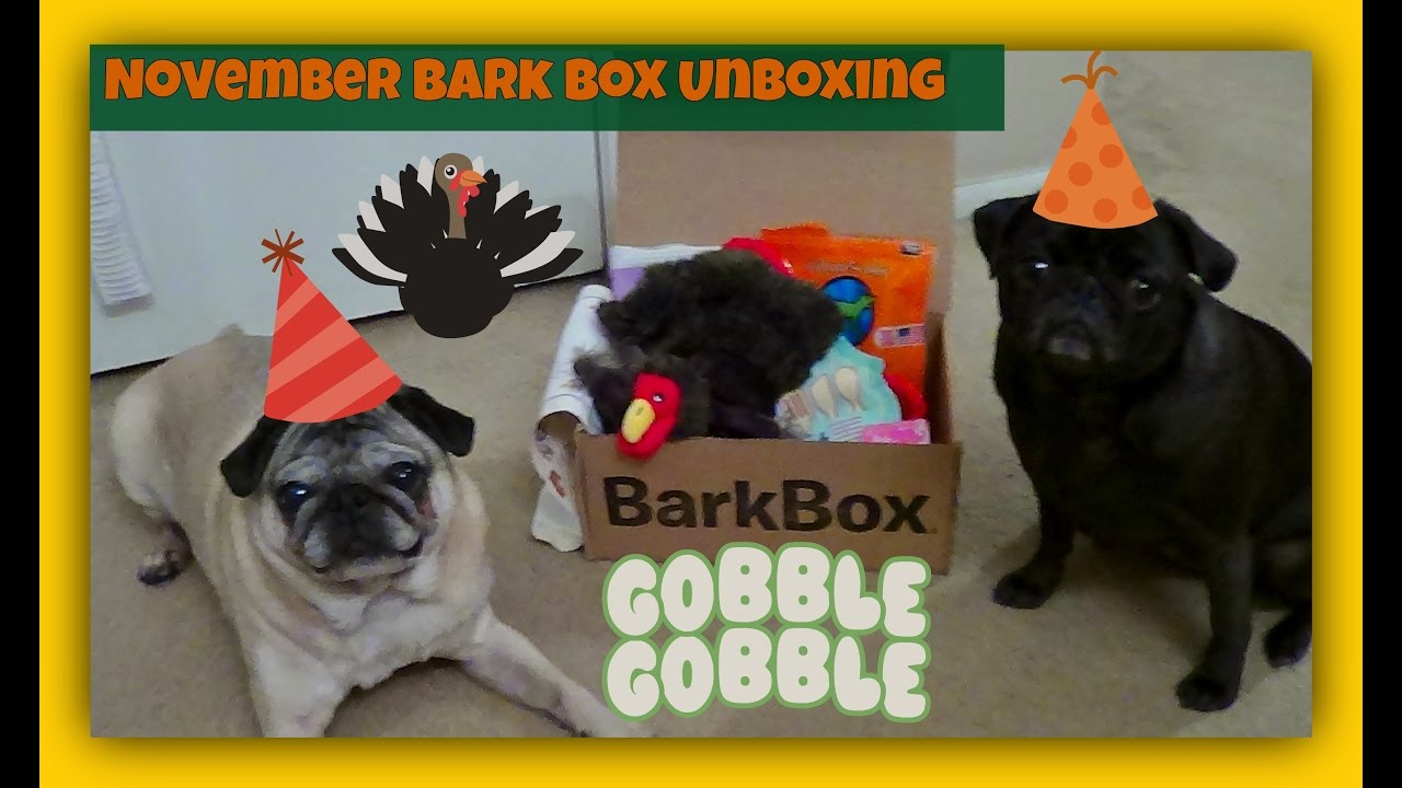 November BarkBox Unboxing Dog Product Subscription Service YouTube