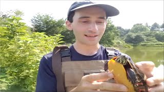 Tree Mob™: Turtle Monitoring for Conservation