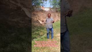big size Indian spectacle cobra Vijay snake catcher Nizamabad Jilla cell 8639457684