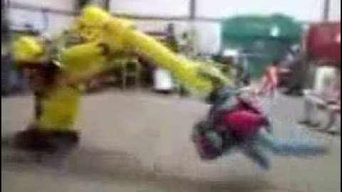 When Robot Programmers get bored