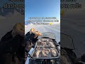 scratching off alaska with dash-mounted cinnamon rolls is peak winter 🥲