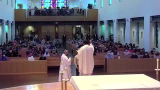 Live from St. Michael the Archangel