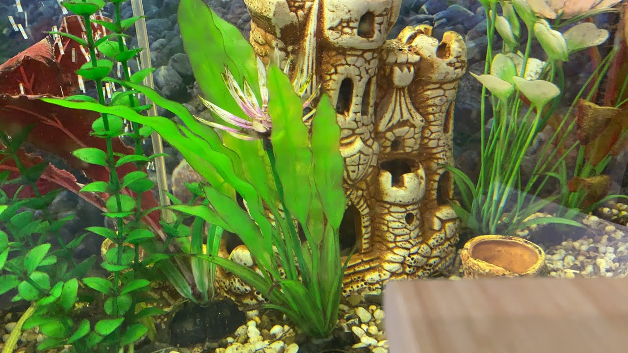 Общая психология/А.Г.Маклаков/Тема: Индивидуальные особенности памяти ...