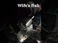 When the wife wants to go fishing… #saltwaterfishing #calicobass #longbeach #shimano #nightfishing