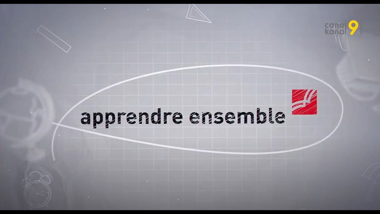 APPRENDRE ENSEMBLE - La métacognition (avec Romaine Carrupt et Erica Borloz)