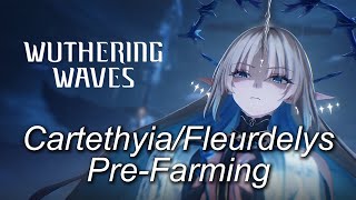Wuthering Waves Cartethyia/Fleurdelys Pre-Farming Guide Character Ascension/Skills/Weapon and more