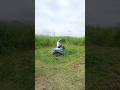 2026’s top mower: crafted by KOHAM’s efficiency, not by hand#foryoupageshorts#youtuberKOHAMb2b#tools