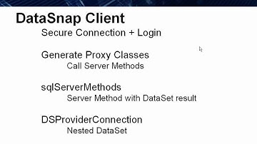 DataSnap in Action 3 - DataSnap Client