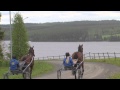 Wången